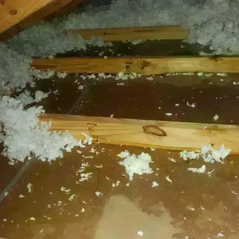 Attic Water Damage in Rice, MN