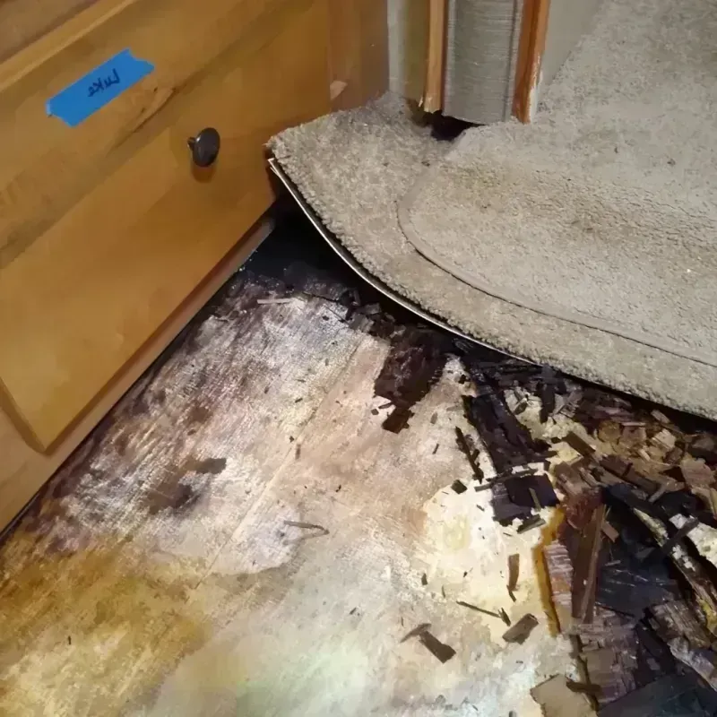 Wood Floor Water Damage in Rice, MN